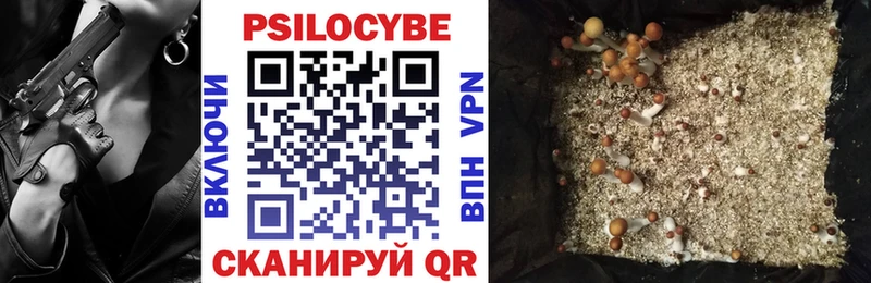 даркнет как зайти  кракен ТОР  Бокситогорск  Псилоцибиновые грибы Psilocybine cubensis 